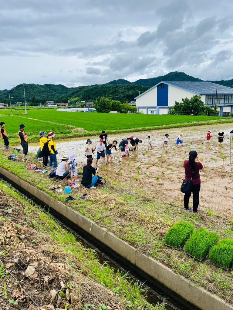 田植え
